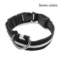 HKM-5907005 Adjustable Nylon LED Pet Collar with Glow in the Dark Features, Night Safety Leash for Dogs and Cats