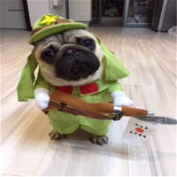 HKM-5907389 Pet Police Transforming Upright Costume for Humor and Fun