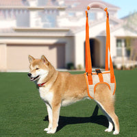 HKM-5908285 Adjustable Dog Lift Harness for Supporting Senior and Disabled Dogs with Breathable Mesh Material