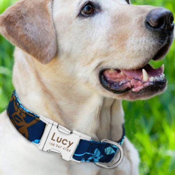 HKM-5910845 Durable Adjustable Dog Collar for Small, Medium, and Large Breeds