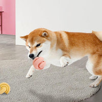 HKM-591379 Rubber Dog Molars Teeth Relief Bouncy Ball