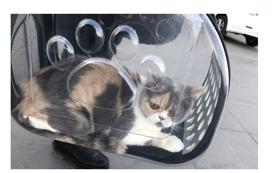 HKM-5922749 Portable Transparent Cat and Dog Backpack - Breathable, Foldable Pet Carrier with Four-Sided Mesh Panels, Small and Large Sizes Available