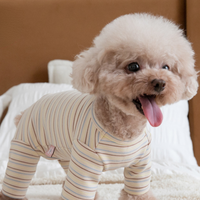 HKM-5924669 Fashion Minimalist Striped Pet Dog Clothing in Apricot, Orange, and Green