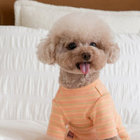 HKM-5924669 Fashion Minimalist Striped Pet Dog Clothing in Apricot, Orange, and Green