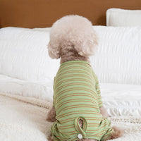 HKM-5924669 Fashion Minimalist Striped Pet Dog Clothing in Apricot, Orange, and Green