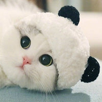 HKM-5925309 Adorable Panda Pet Hat - Wool, Sizes S, M, L for Cats and Teacup Dogs