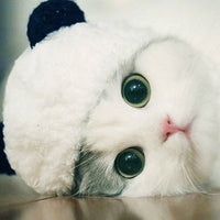 HKM-5925309 Adorable Panda Pet Hat - Wool, Sizes S, M, L for Cats and Teacup Dogs