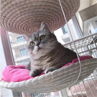HKM-5927869 Cat Climbing Frame with Hammock and Storage - Medium Scratching Tree and Jumping Platform