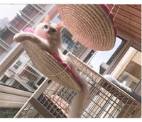 HKM-5927869 Cat Climbing Frame with Hammock and Storage - Medium Scratching Tree and Jumping Platform