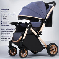 HKM-593107 Foldable Stainless Steel Two-Way Stroller with Armrest for Easy Travel