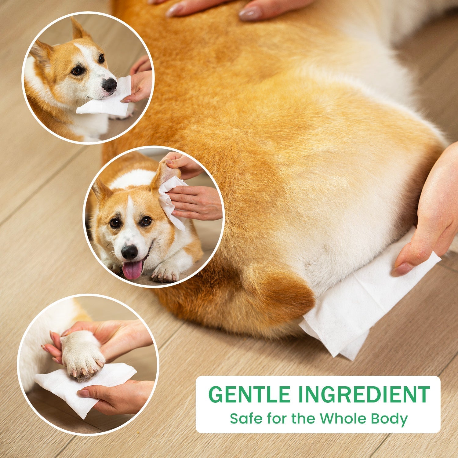 HKM-5933885 Antibacterial Dog and Cat Wipes with Silver Ions - Unscented, Hypoallergenic for Paws, Face, Ear, and Butt Cleaning