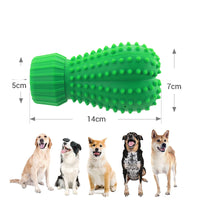 HKM-5936829 Sounding Cactus Rubber Dog Chew Toy for Medium & Large Dogs