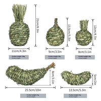 HKM-5940413 Pet Rabbit Stuffy Toys Set - Timothy Grass Chewable Snacks for Guinea Pigs and Small Animals