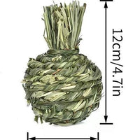 HKM-5940413 Pet Rabbit Stuffy Toys Set - Timothy Grass Chewable Snacks for Guinea Pigs and Small Animals