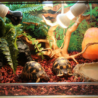 HKM-5951549 Large and Small Reptile Cave Hideout for Tortoises, Snakes, and Lizards - Durable Resin Design