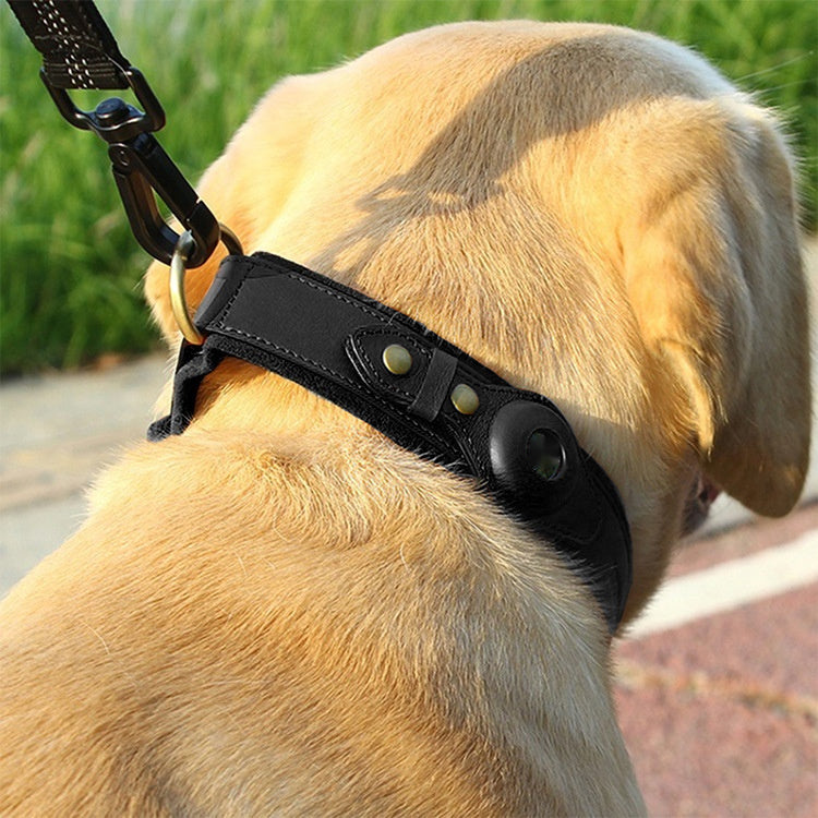 HKM-5955261 Genuine Leather Monochrome Green Pet Collar for Dogs ¨C All Seasons, Multiple Sizes Available