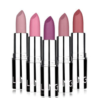 HKM-595603 Matte Silver Lipstick - Long-Lasting, Moisturizing Bullet Formula