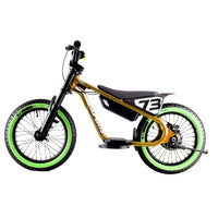 HKM-595795 16-Inch Aluminium Alloy Electric Motorcycle for Kids - High-Speed Dirt Bike with 2-Speed Gears and Integrated Battery