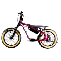 HKM-595795 16-Inch Aluminium Alloy Electric Motorcycle for Kids - High-Speed Dirt Bike with 2-Speed Gears and Integrated Battery