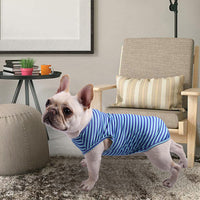 HKM-5969341 Striped Crew Neck Pet Tank Top in Various Colors and Sizes