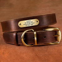 HKM-5976381 Genuine Cowhide Engraved Anti-Loss Dog Collar - Dark Brown, Multiple Sizes Available
