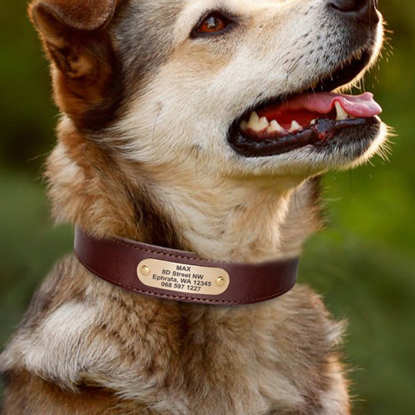 HKM-5976381 Genuine Cowhide Engraved Anti-Loss Dog Collar - Dark Brown, Multiple Sizes Available