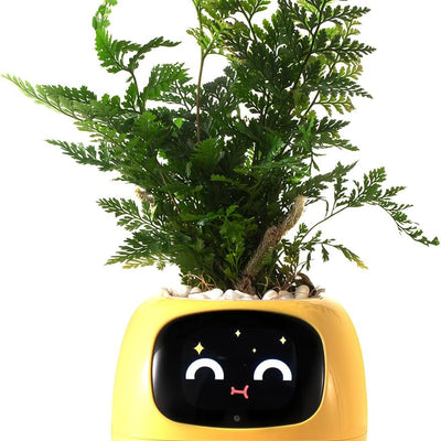 HKM-597715 Smart Plant Care Robot with Automated Watering, Soil Monitoring, and Gesture Interaction - Ideal for Home and Office Decor