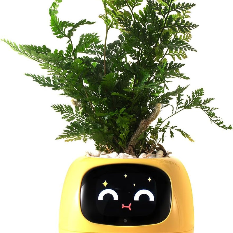 HKM-597715 Smart Plant Care Robot with Automated Watering, Soil Monitoring, and Gesture Interaction - Ideal for Home and Office Decor
