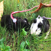 HKM-5980093 Hand Woven Nylon Hamster Pull Rope with Adjustable Chest Strap - 1.4m/2.0m Length