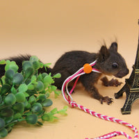 HKM-5980093 Hand Woven Nylon Hamster Pull Rope with Adjustable Chest Strap - 1.4m/2.0m Length