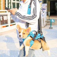 HKM-598035 Versatile Multifunctional Pet Backpack for Comfortable Travel and Outdoor Adventures