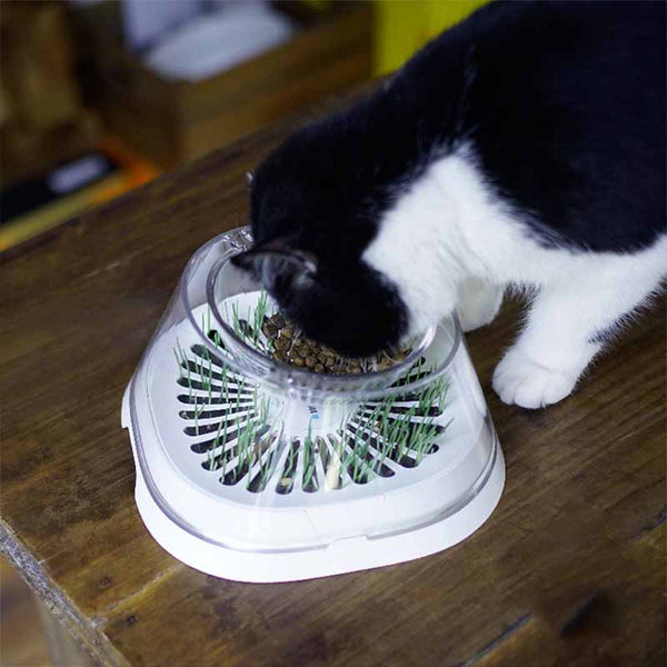HKM-5980477 Elevated Cat Drinking Bowl with Oblique Mouth Design, Dishwasher Safe, Modern Pet Feeder in White
