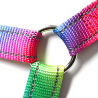 HKM-5981757 Reflective Colorful Three-Piece Pet Leash and Vest Set