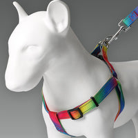HKM-5981757 Reflective Colorful Three-Piece Pet Leash and Vest Set