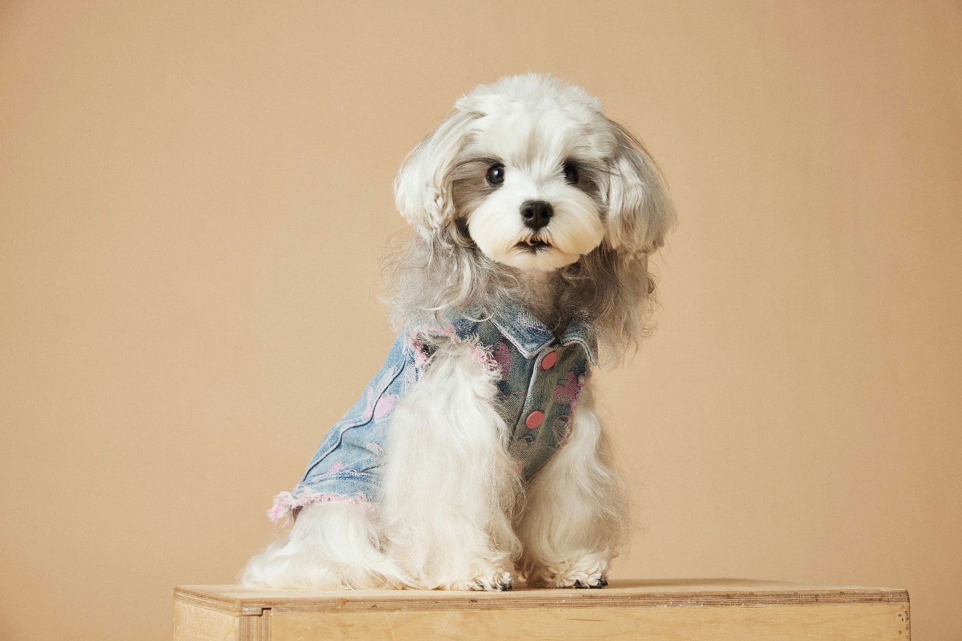 HKM-5984829 Denim Sleeveless Vest for Dogs - Distressed Casual Pet Clothing in Various Sizes