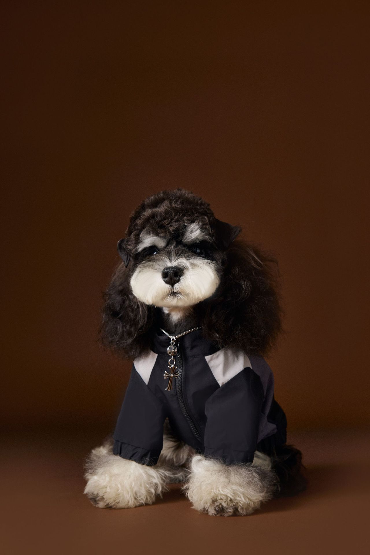 HKM-5990589 Stylish Casual Sportswear for Male Dogs - Autumn Collection in Various Sizes