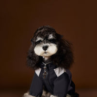 HKM-5990589 Stylish Casual Sportswear for Male Dogs - Autumn Collection in Various Sizes
