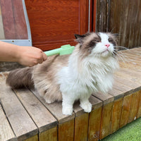 HKM-5993277 2-in-1 Grooming Brush for Long-Haired Cats and Dogs, De-Shedding Tool with Easy Hair Removal and Washable Design
