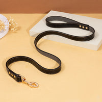 HKM-5993789 Durable PU Leather Tow Rope Dog Collar and Lead Set for Small, Medium, and Large Dogs - 1.5m Length