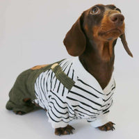 HKM-5997373 Casual Thin Corduroy Four-Legged Pet Pants for Small Dogs - Green Black and White Stripes