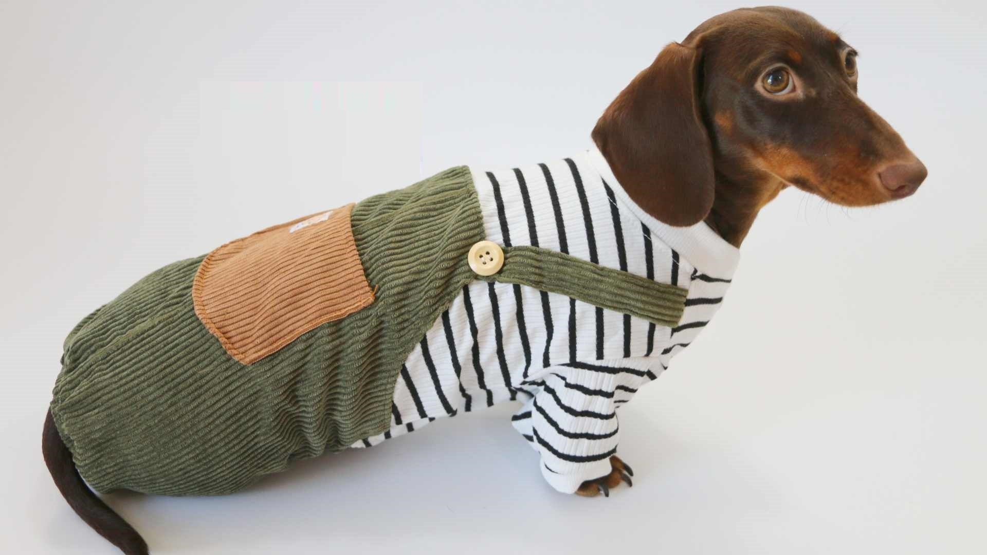 HKM-5997373 Casual Thin Corduroy Four-Legged Pet Pants for Small Dogs - Green Black and White Stripes