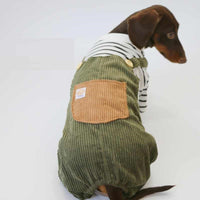 HKM-5997373 Casual Thin Corduroy Four-Legged Pet Pants for Small Dogs - Green Black and White Stripes