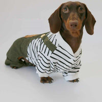 HKM-5997373 Casual Thin Corduroy Four-Legged Pet Pants for Small Dogs - Green Black and White Stripes