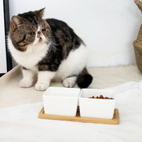HKM-6003517 Ceramic Pet Rice Bowl with Bamboo Stand for Cats and Dogs - 300ml Capacity