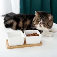 HKM-6003517 Ceramic Pet Rice Bowl with Bamboo Stand for Cats and Dogs - 300ml Capacity