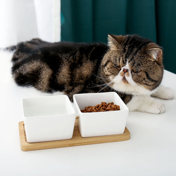 HKM-6003517 Ceramic Pet Rice Bowl with Bamboo Stand for Cats and Dogs - 300ml Capacity