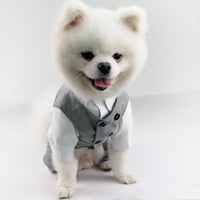 HKM-6003901 Cozy Cotton Vest and Trousers Suit for Four-Legged Friends, Sizes XS to 2XL