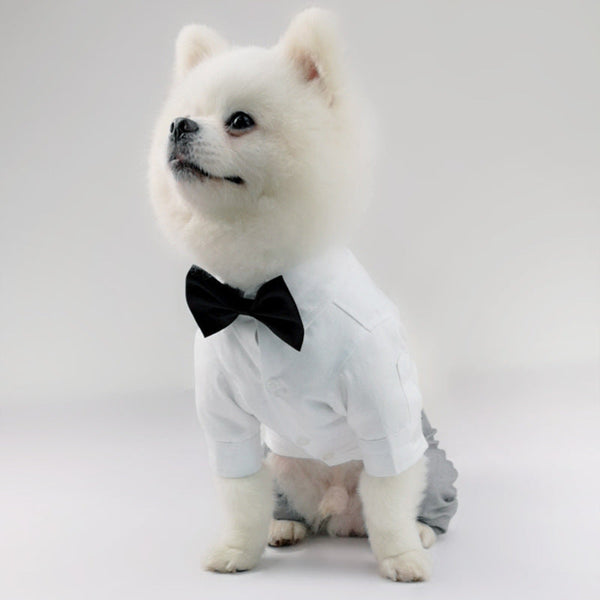 HKM-6003901 Cozy Cotton Vest and Trousers Suit for Four-Legged Friends, Sizes XS to 2XL