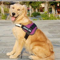 HKM-6006589 Adjustable Cloth Dog Harness with Leash - Available in Blue, Black, Red, Purple, Sizes S to XL