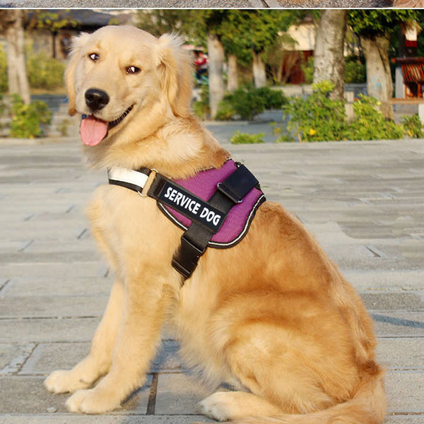 HKM-6006589 Adjustable Cloth Dog Harness with Leash - Available in Blue, Black, Red, Purple, Sizes S to XL
